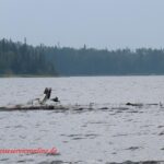 Twin Falls Lodge Otter Lake Robertson Falls